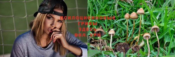 синтетический гашиш Дмитриев