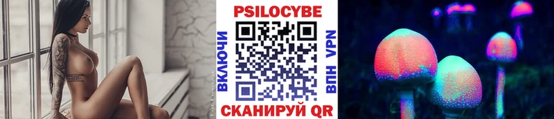 Галлюциногенные грибы Psilocybe  Жуков 